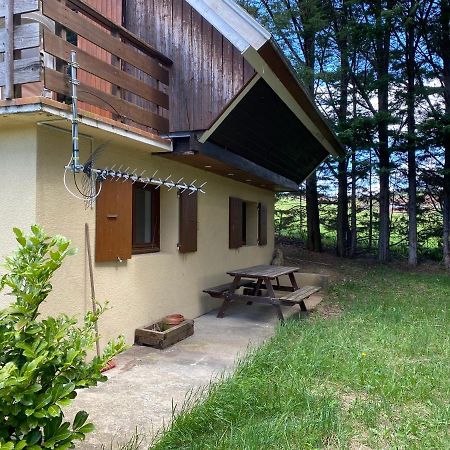 Appartement Dans Le Chalet Ла Шапел-ен-Веркор Екстериор снимка